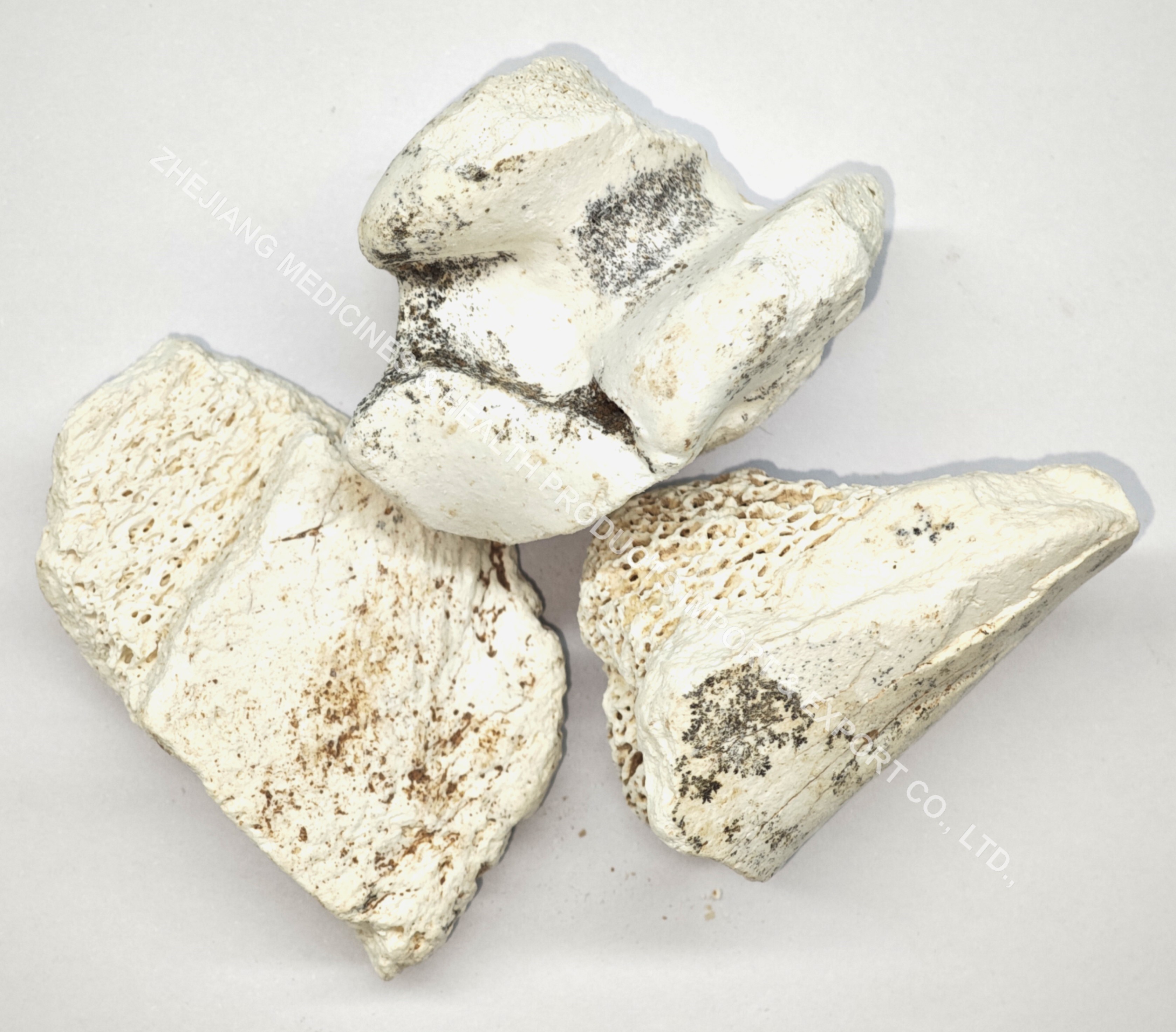 龍骨-Drgonsbones.jpg
